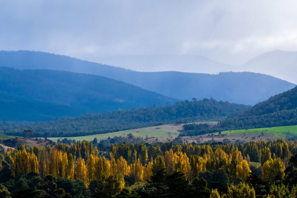 Mount Dromedary Forest Reserve