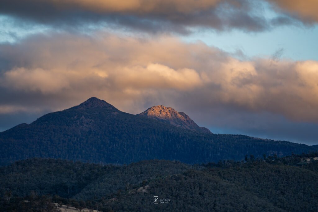 Gold Mountain