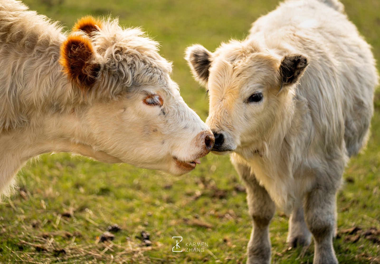 love from mother